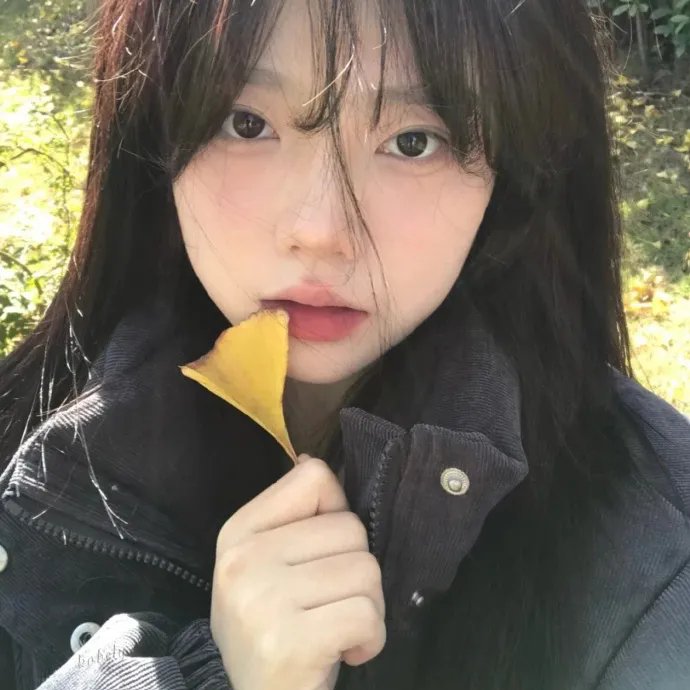 驯荒记